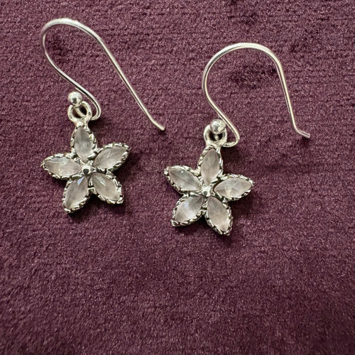 Crystal Bloom Sterling Silver Earrings on maroon background